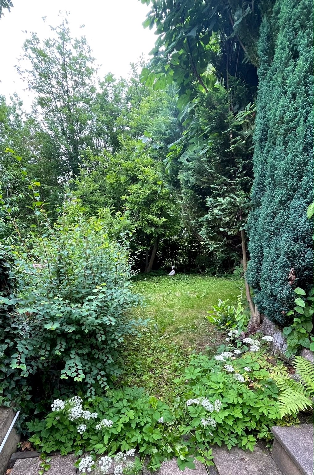 Vorher: verwilderter Garten